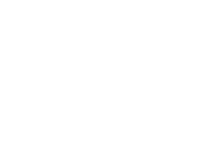 Te Kaihoko Manuka Honey